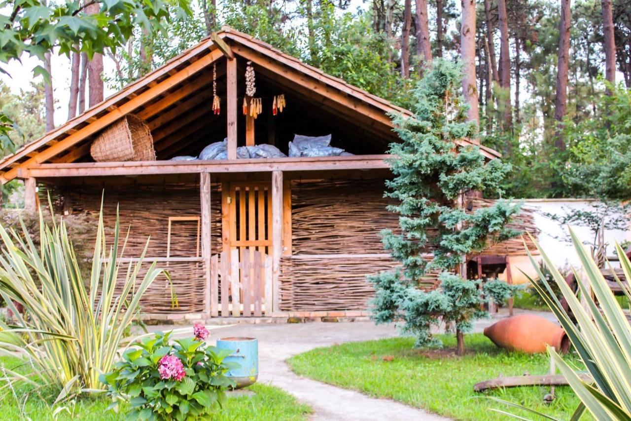 Kolkhida Resort&Spa Ureki Eksteriør bilde