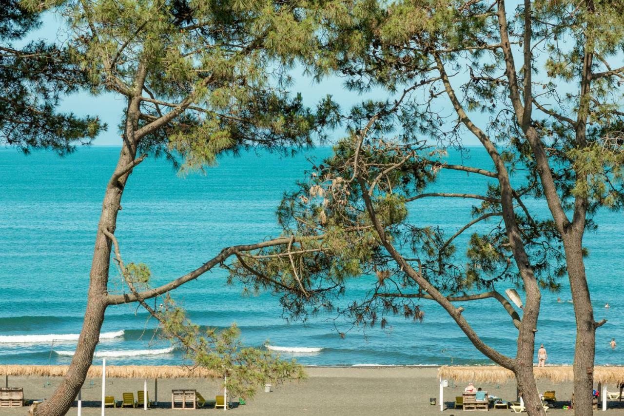 Kolkhida Resort&Spa Ureki Eksteriør bilde