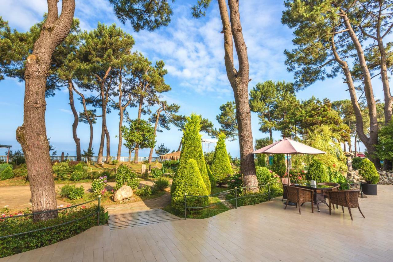 Kolkhida Resort&Spa Ureki Eksteriør bilde